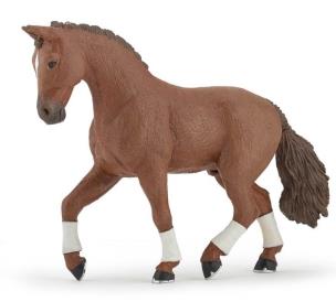 Opakowanie Ogier Hanowerski