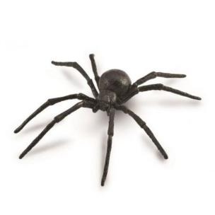 Opakowanie Pająk Czarna wdowa