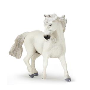 Okładka książki Papo Koń Camargue (51543)