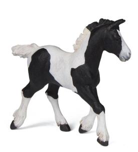 Okładka książki Papo Źrebie w czarne łaty (51508)