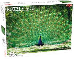 Puzzle Piękny Paw Peacock 500. Wydawca: Tactic. Multiszop.pl Opakowanie Puzzle Piękny Paw Peacock 500