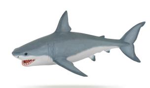 Opakowanie Rekin biały