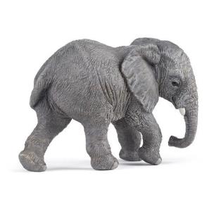 Opakowanie Słoń afrykański młody