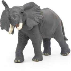 Opakowanie Słoń trąbiący