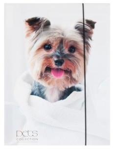 Opakowanie Teczka A4 z gumką Pets-12