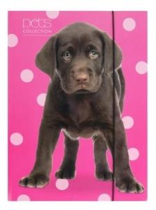 Opakowanie Teczka A4 z gumką Pets-13