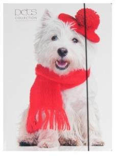 Opakowanie Teczka A4 z gumką Pets-14