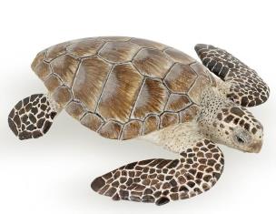 Opakowanie Żółw karetta