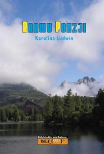 Okładka książki Barwy Poezji