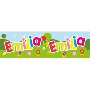 Opakowanie Bidon 300ml Emilia