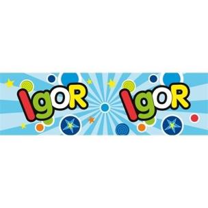 Opakowanie Bidon 300ml Igor