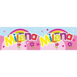 Opakowanie Bidon 300ml Milena