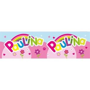 Opakowanie Bidon 300ml Paulina