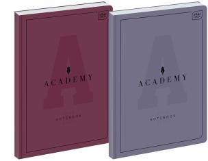 Opakowanie Brulion A4/96K kratka Academy (5szt)