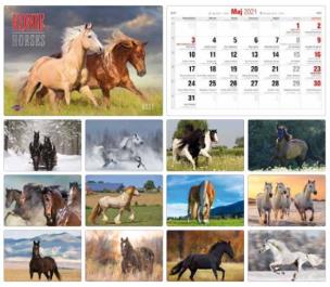 Okładka książki Kalendarz 2021 Albumowy KA-10 KONIE