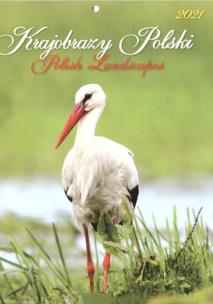 Okładka książki Kalendarz 2021 Ścienny Mały KSM-1 KRAJOBRAZY POLSKI
