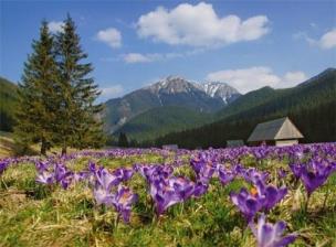 Opakowanie Kalendarz 2021 Tatry trójdzielny RADWAN
