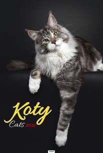 Opakowanie Kalendarz 2022 A3-13 Koty AVANTI