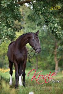 Opakowanie Kalendarz 2022 A3-2 Konie AVANTI