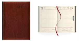 Opakowanie Kalendarz 2022 Dzienny A5 2022 Brąz SK2-1