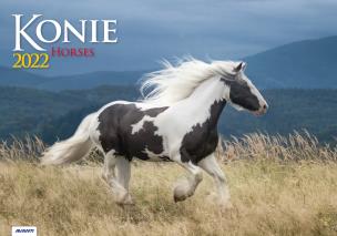 Opakowanie Kalendarz 2022 KA-10 Konie AVANTI