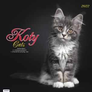 Opakowanie Kalendarz 2022 KAD-9 Koty AVANTI