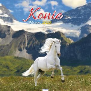Opakowanie Kalendarz 2022 KD-22 Konie AVANTI