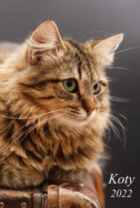 Opakowanie Kalendarz 2022 Ścienny dwustronny Koty RADWAN