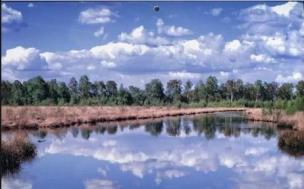 Opakowanie Kalendarz 2022 Trójdzielny Jezioro ANIEW