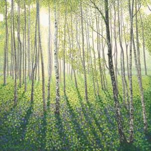 Opakowanie Karnet z kopertą Brzozowy las