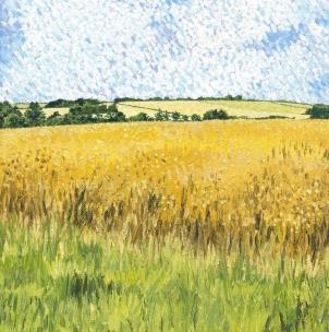 Opakowanie Karnet z kopertą Letnie pola