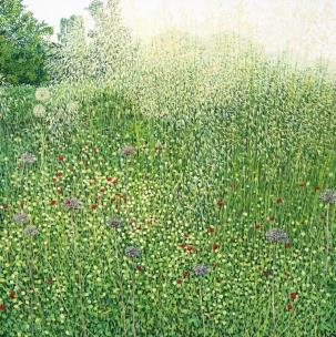 Opakowanie Karnet z kopertą Trawy Harlow Carr