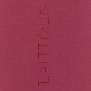 Okładka książki Katja Strunz Zeittraum#9 fur Władysław Strzemiński