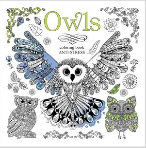 Opakowanie Kolorowanka antystresowa 200x200 12 Owls
