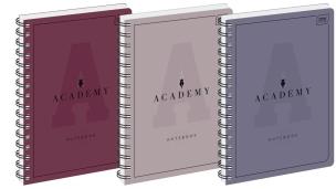 Opakowanie Kołozeszyt A4/100K kratka Academy (5szt)