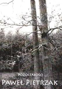 Okładka książki Pozostałości