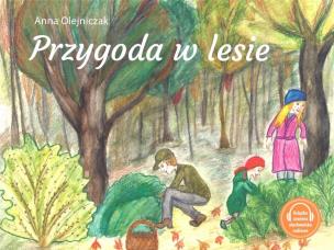Okładka książki Przygoda w lesie