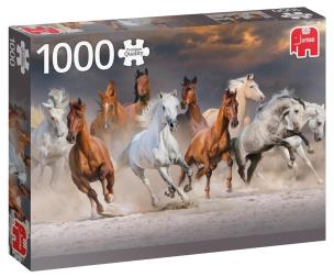 Opakowanie Puzzle 1000 PC Pustynne konie G3