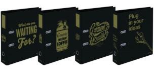 Opakowanie Segregator A4/2R 7cm z dźwignią Clever Gold