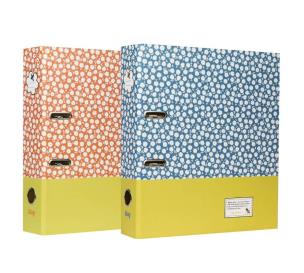 Opakowanie Segregator A4/2R 8cm z dźwignią B'Log Flowers