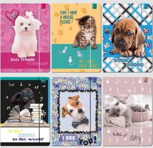 Opakowanie Teczka A4 z gumką Best Friend