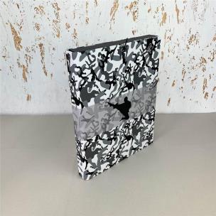 Opakowanie Teczka Box A4 na gumkę Kamuflaż szary