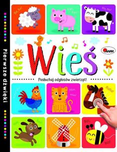 Okładka książki Wieś Pierwsze dźwięki