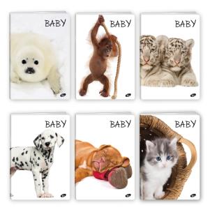 Opakowanie Zeszyt A5 32K kratka BABY pakiet 20 sztuk