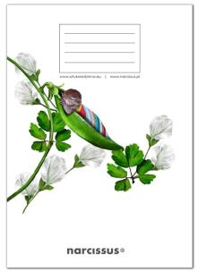 Opakowanie Zeszyt A5/32K kratka PP Fun Pea Pod (4szt)