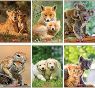 Opakowanie Zeszyt A5/32K linia podwójna Animals (10szt)