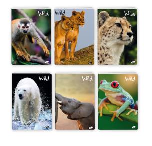 Opakowanie Zeszyt A5 32K linia WILD pakiet 20 sztuk