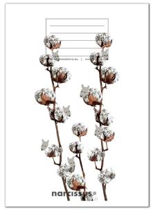 Opakowanie Zeszyt A5/60K kratka PP Fun Cotton (4szt)