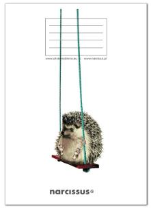 Opakowanie Zeszyt A5/60K kratka PP Fun Swing Away (4szt)