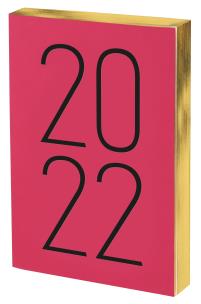 Opakowanie Kalendarz 2022 Art A5 różowy DNS ANTRA